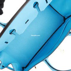 Herms Birkin 30 Celeste Epsom Gold Hardware