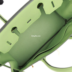 Herms Birkin 30 Vert Criquet Epsom Gold Hardware