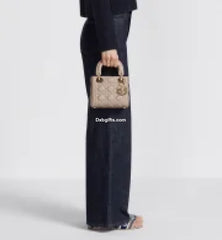 Mini Driviera Lady Dr Bag