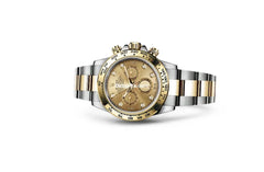 Rlx 116503 Cosmograph Dtn Gold 