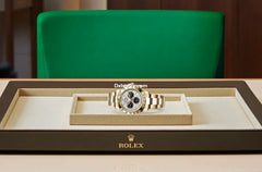 Rlx 116508 Dtn Meteorite