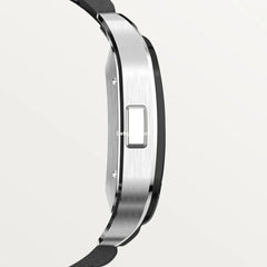 Santos De Cartr Chronograph Watch Wssa0017