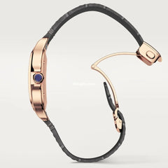 Santos De Cartr Watch Wgsa0019