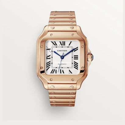 Santos De Cartr Watch Wgsa0031