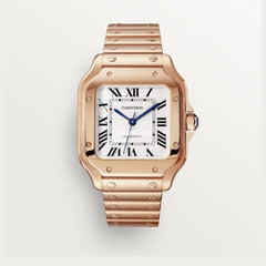 Santos De Cartr Watch Wgsa0031