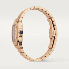 Santos De Cartr Watch Wgsa0031