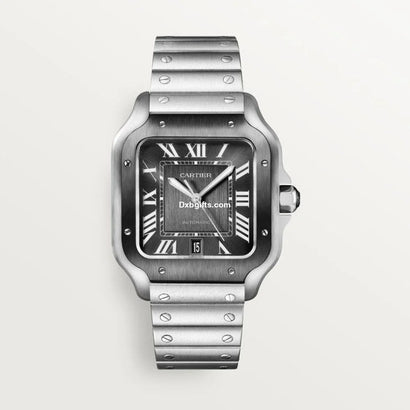 Santos De Cartr Watch Wssa0037