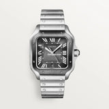 Santos De Cartr Watch Wssa0037