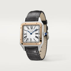 Santos-dumont Watch W2sa0011