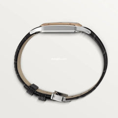 Santos-dumont Watch W2sa0011