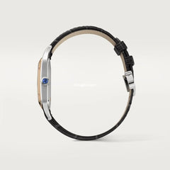 Santos-dumont Watch W2sa0011