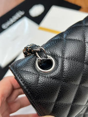 Small Classic Handbag