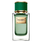 Velvet Cypress D and G For Women And Men 100ml