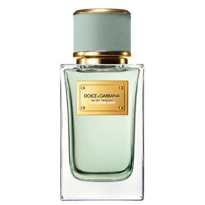 Velvet Infusion D and G For Women And Men 100ml